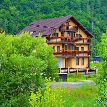 Sighetu Marmaţiei Casa Vadeanu酒店 外观 照片