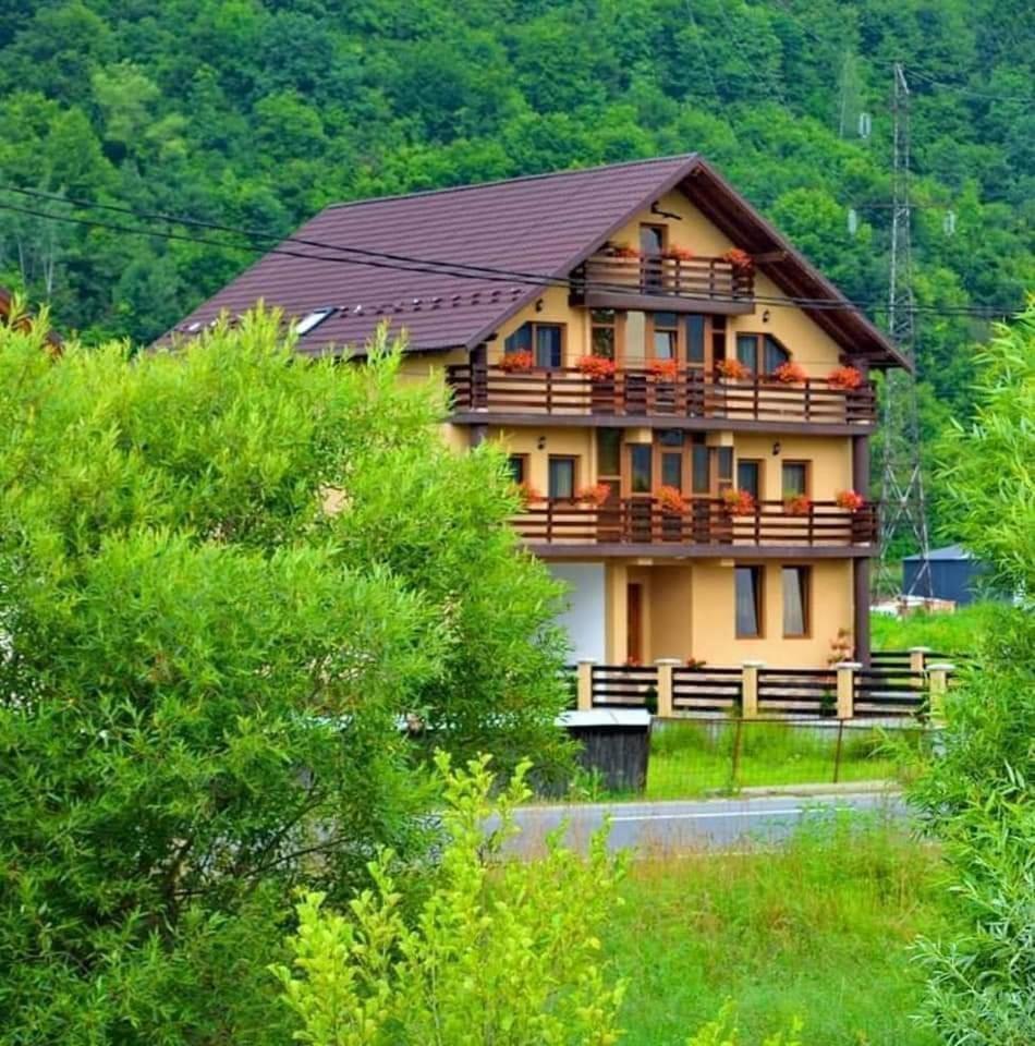 Sighetu Marmaţiei Casa Vadeanu酒店 外观 照片