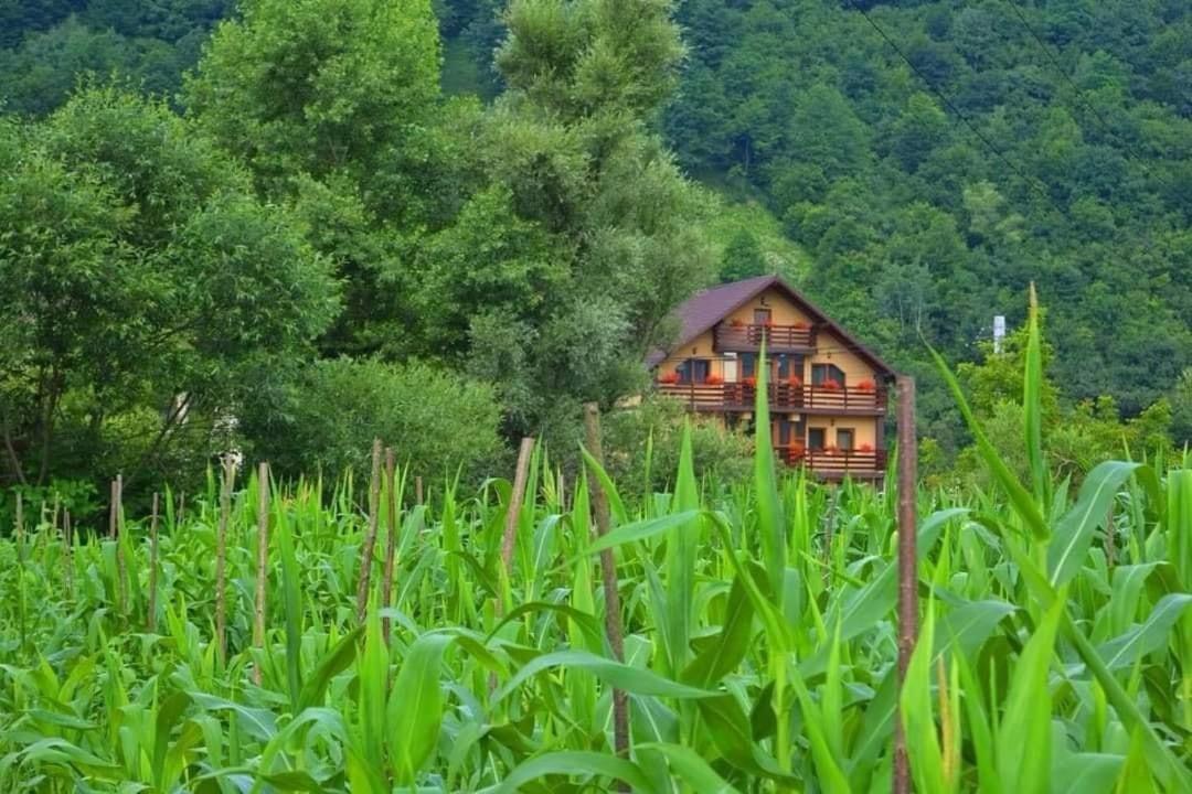 Sighetu Marmaţiei Casa Vadeanu酒店 外观 照片