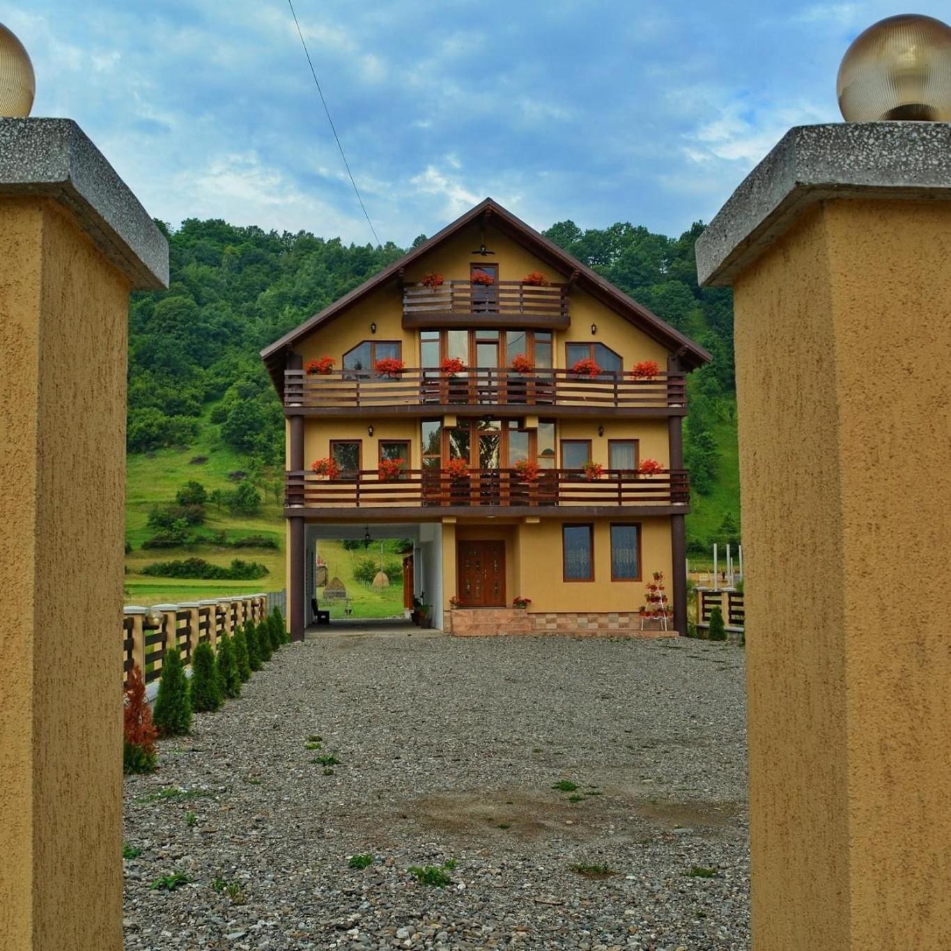 Sighetu Marmaţiei Casa Vadeanu酒店 外观 照片